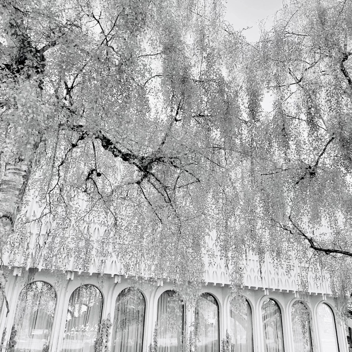 大学を卒業する⑴。(In which I Graduate.) vol.&nbsp;I