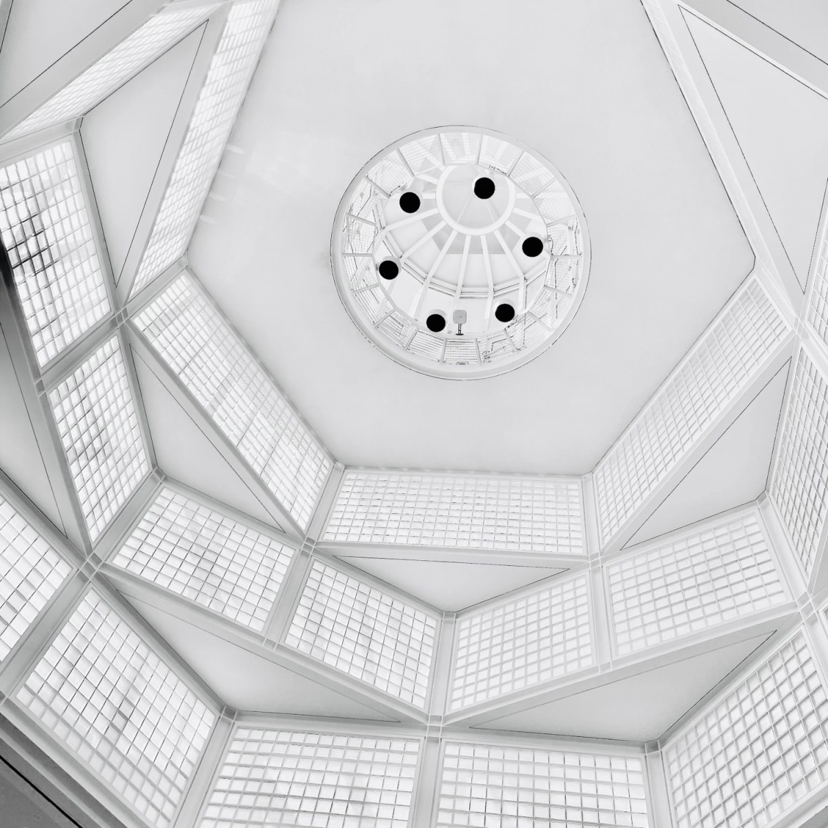 大学を卒業する⑵。(In which I Graduate.) vol.&nbsp;II